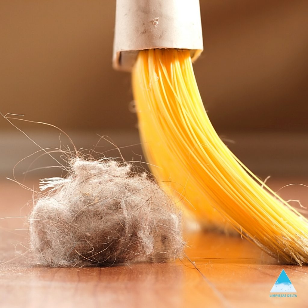 3 consejos para eliminar fácil las pelusas • Limpiezas Delta